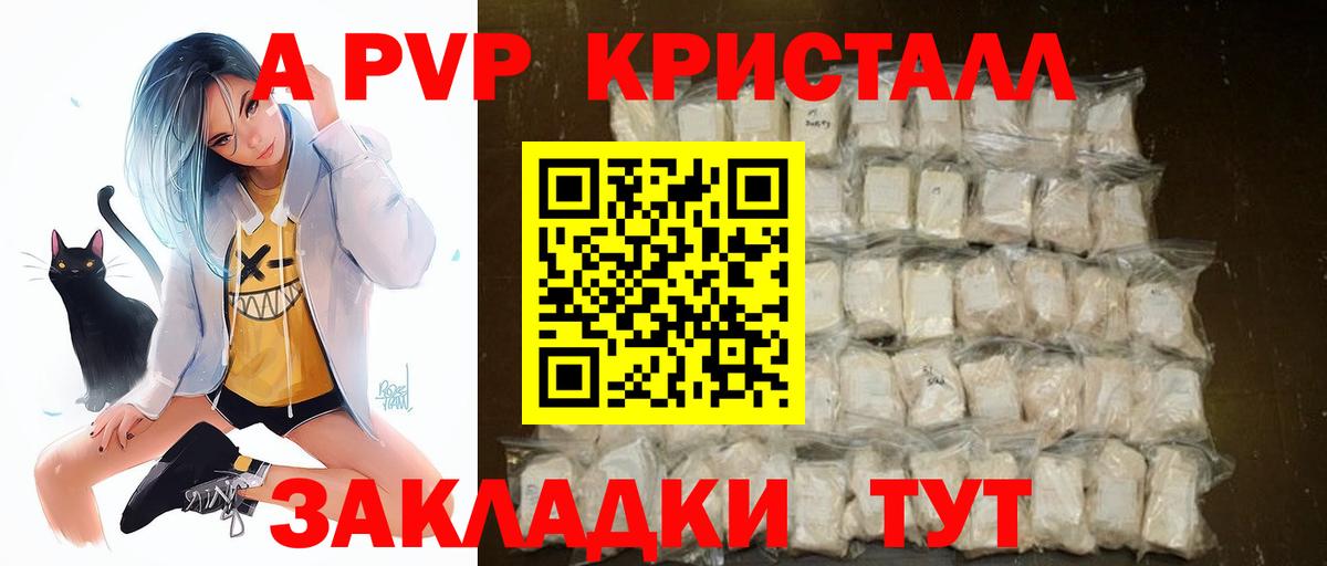 A PVP СК КРИС Казань