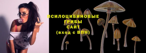 2c-b Липки