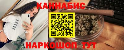сатива Гай
